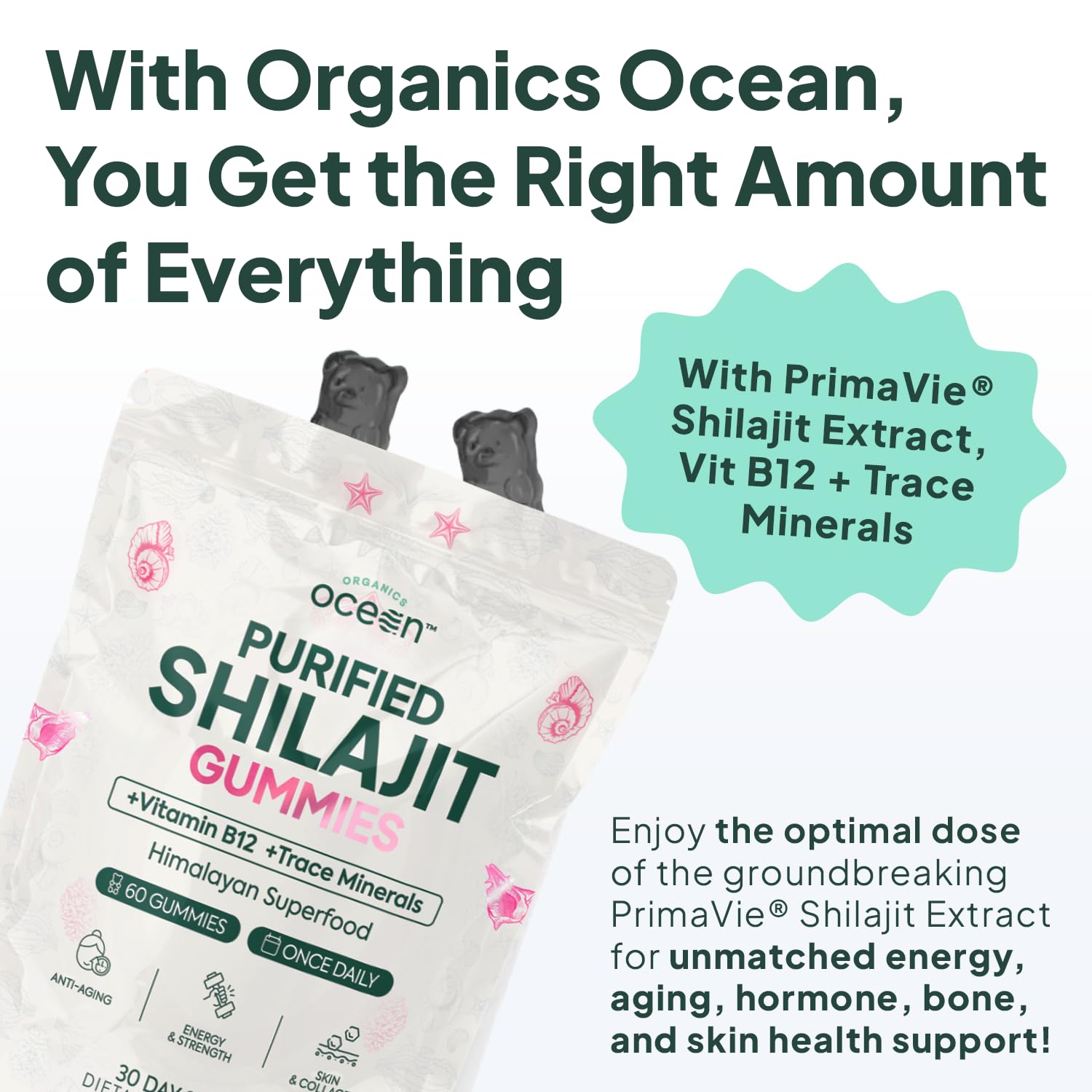 Organics Ocean Shilajit Gummies with Vitamin B12 displayed on a table