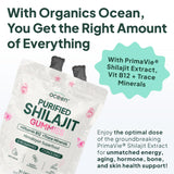 Organics Ocean Shilajit Gummies with Vitamin B12 displayed on a table