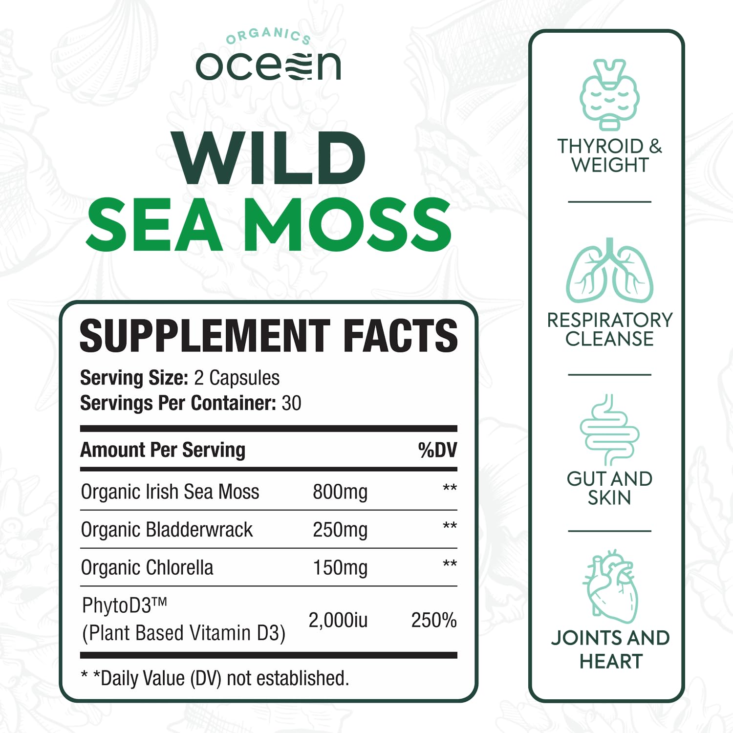 Organics Ocean Wild Crafted Sea Moss Capsules side view