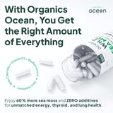 Organics Ocean Wild Crafted Sea Moss Capsules with packaging