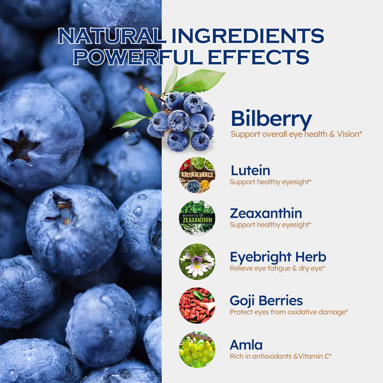 ORGANIHERBENCE Bilberry Drops showing dropper