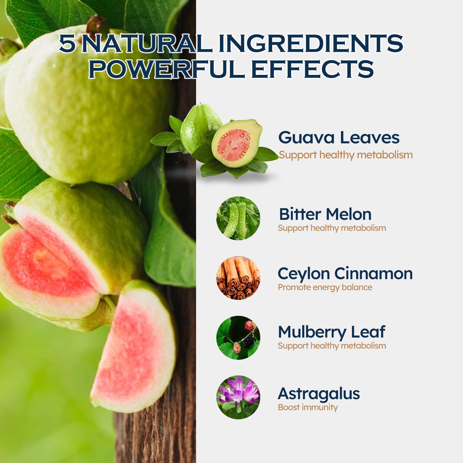 ORGANIHERBENCE Herbal Drops Guava Leaves with measuring dropper