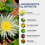 ORGANIHERBENCE Kanna Drops 30ml with dropper