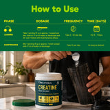 Organika Micronized Creatine Monohydrate 608g nutritional information