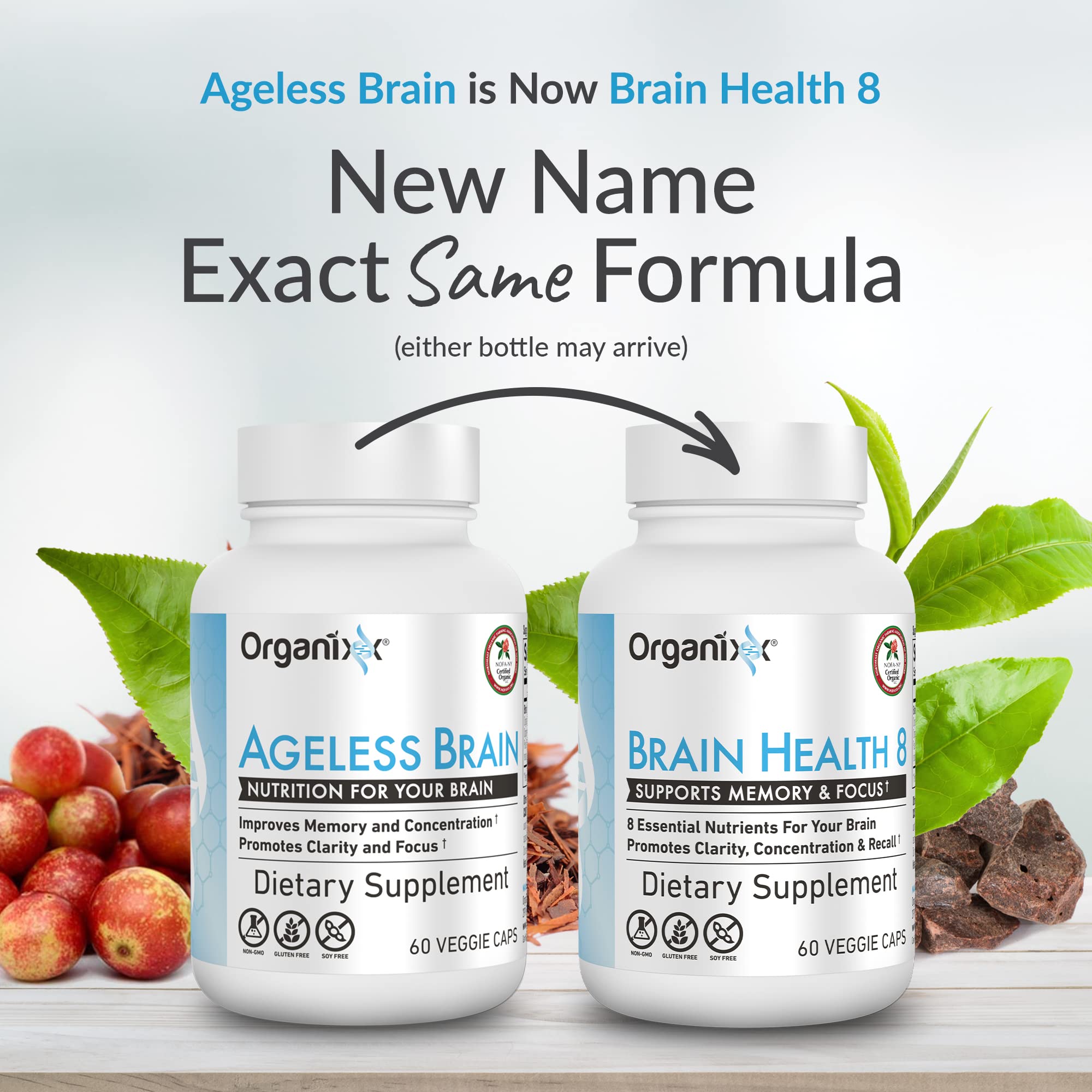 Organixx Brain Health Supplement 50g back view with ingredients