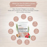 Organixx Clean Sourced Collagen Peptides Powder in a glass of water