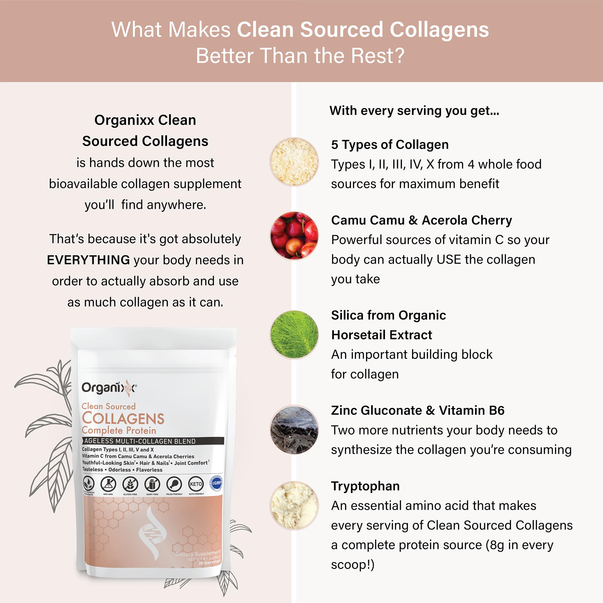 Organixx Clean Sourced Collagen Peptides Powder scoop
