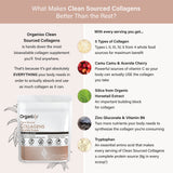 Organixx Collagen Peptides + Creatine Powder lifestyle scene with fitness equipment