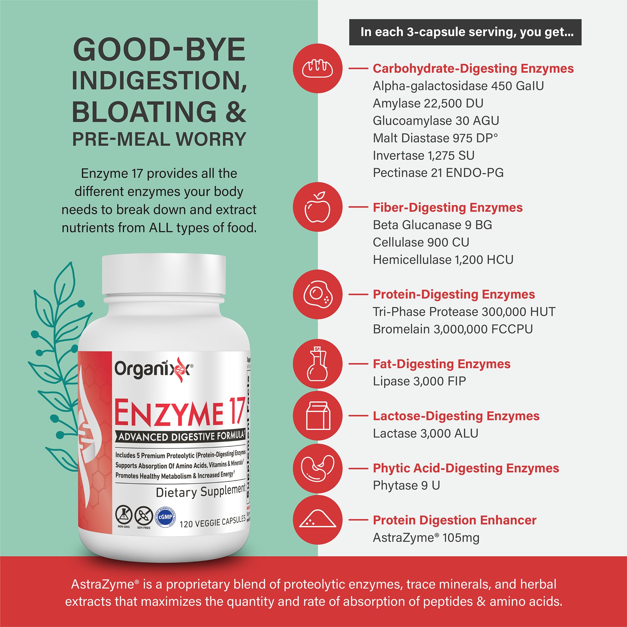 Organixx Enzyme 17 Multi-Enzymes 300,000 HUT side view