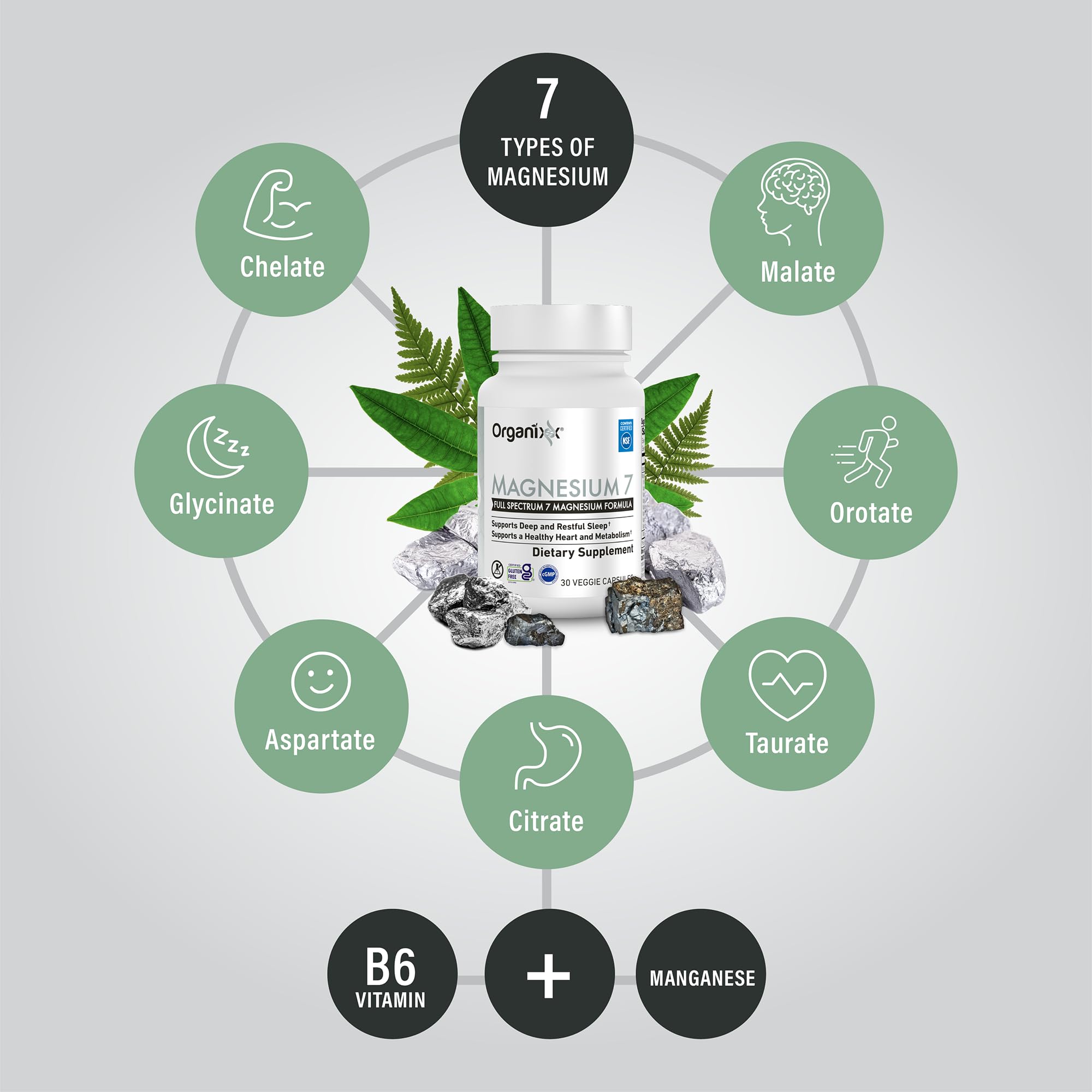 Organixx Magnesium 7 supplement back view with ingredient list