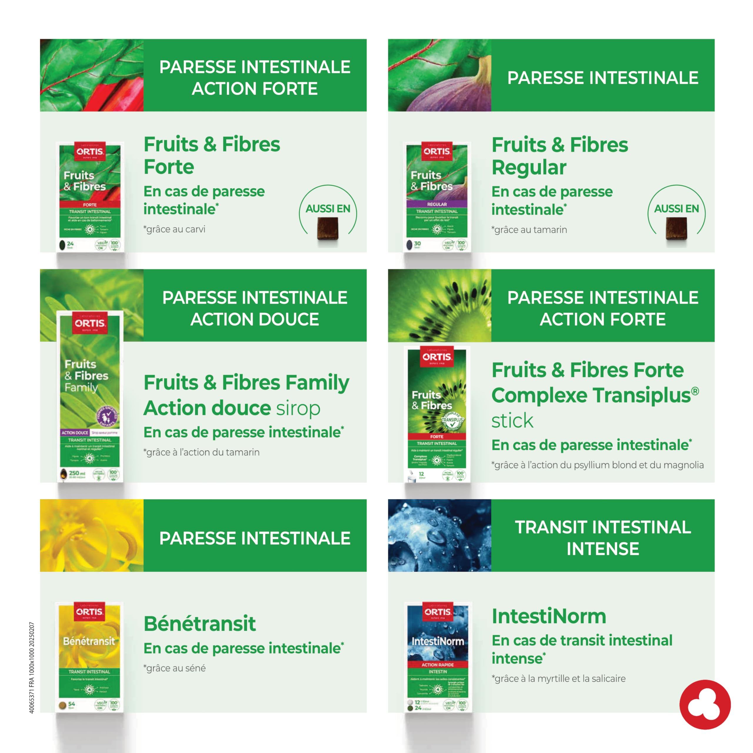 Ortis Fruits & Fibres Regular Chew Cubes displayed on a table