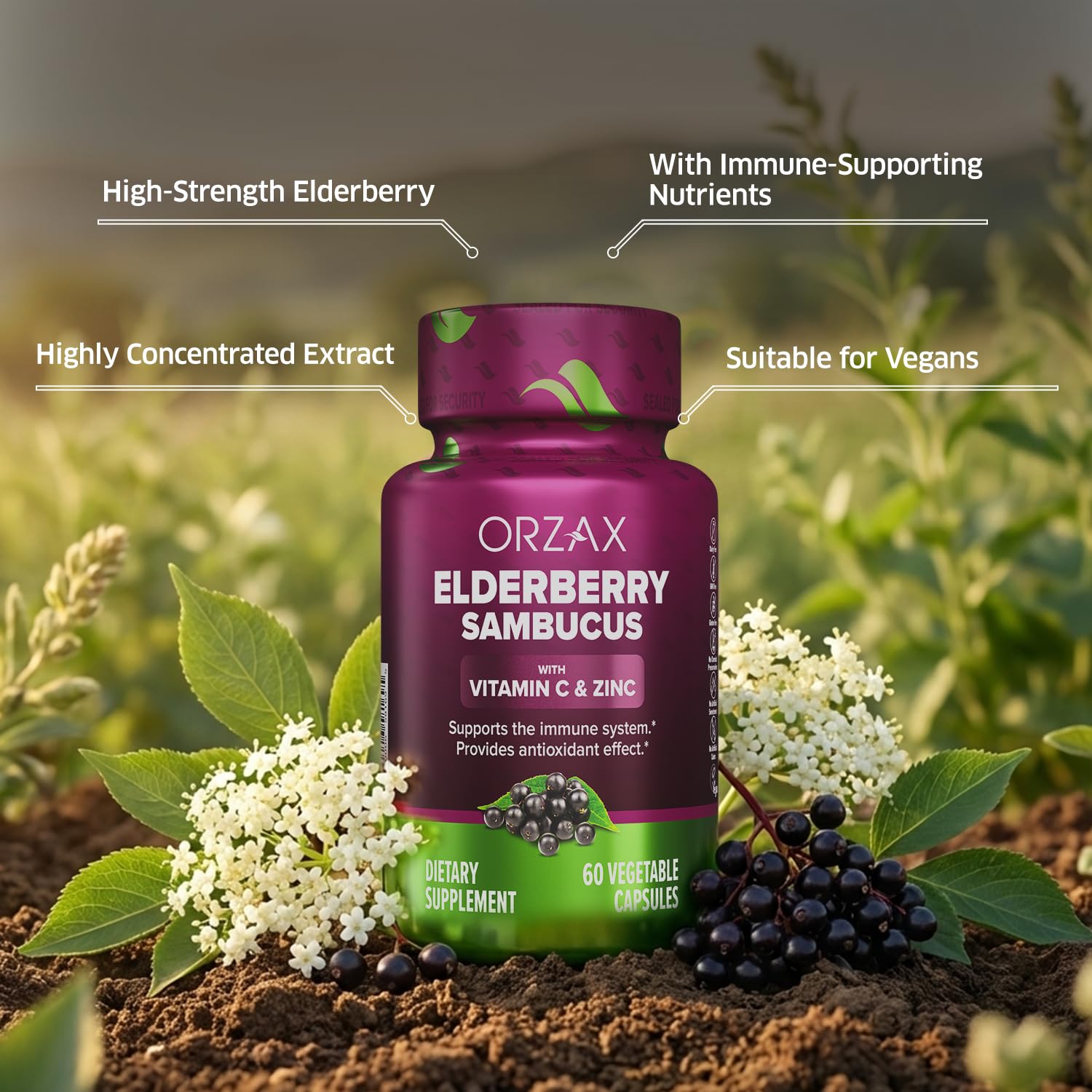 ORZAX Elderberry Supplement back view with nutritional information
