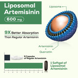 Osasuna Liposomal Artemisinin 600mg supplement ingredients list