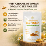 Ottoman Organic Bee Pollen in a spoon