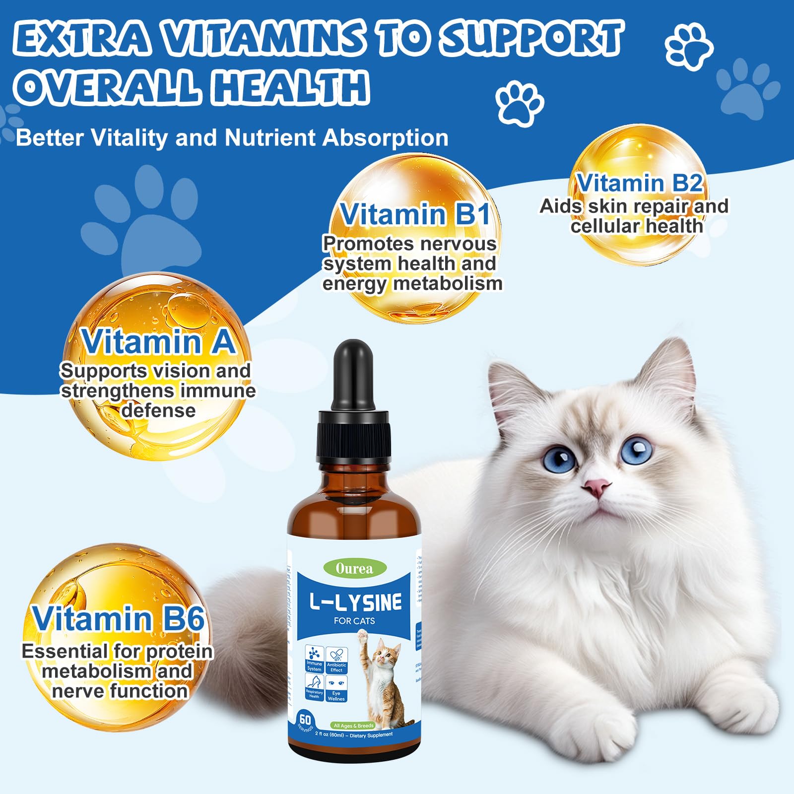 Ourea L-Lysine Drops for Cats 68g back view