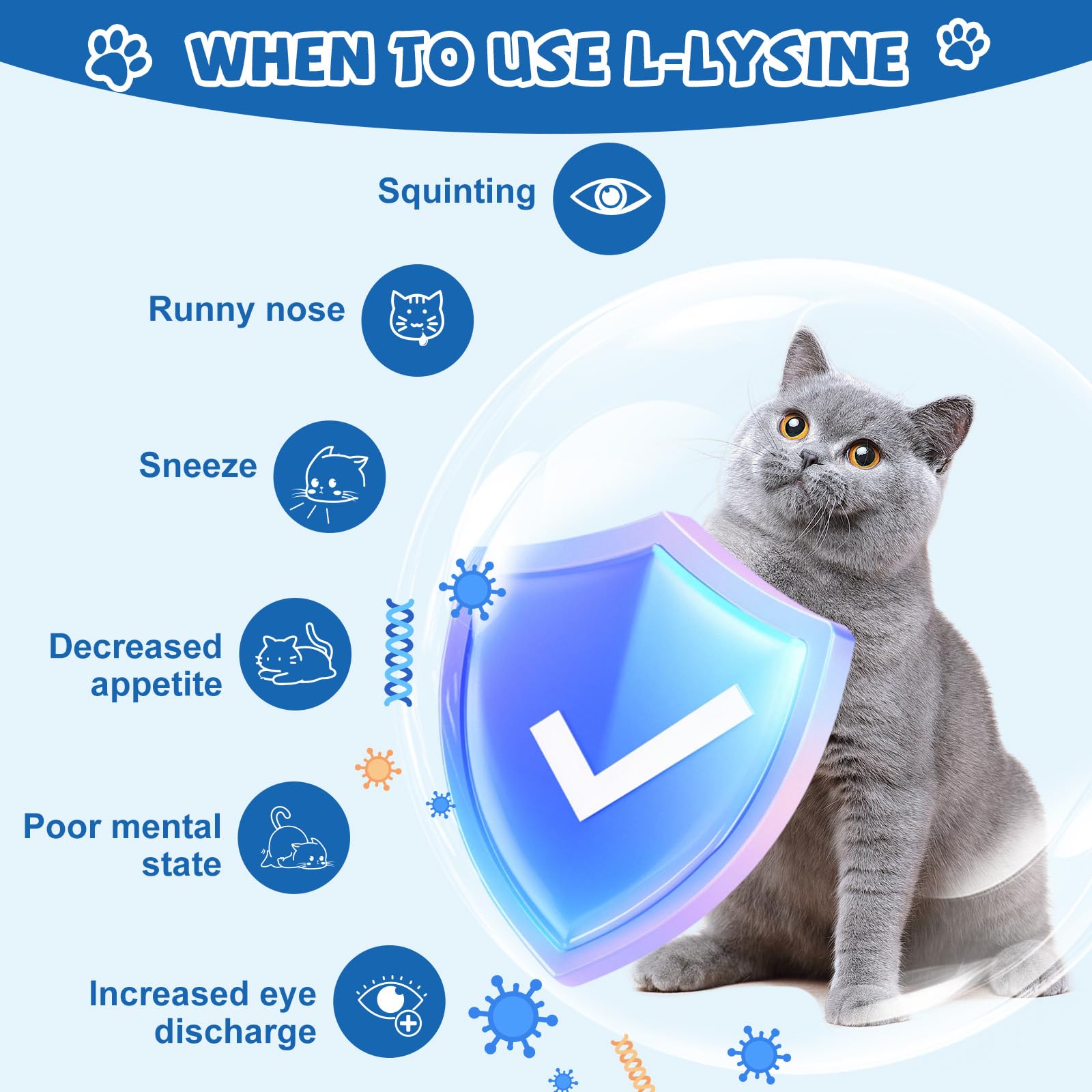 Ourea L-Lysine Drops for Cats 68g close-up of dropper