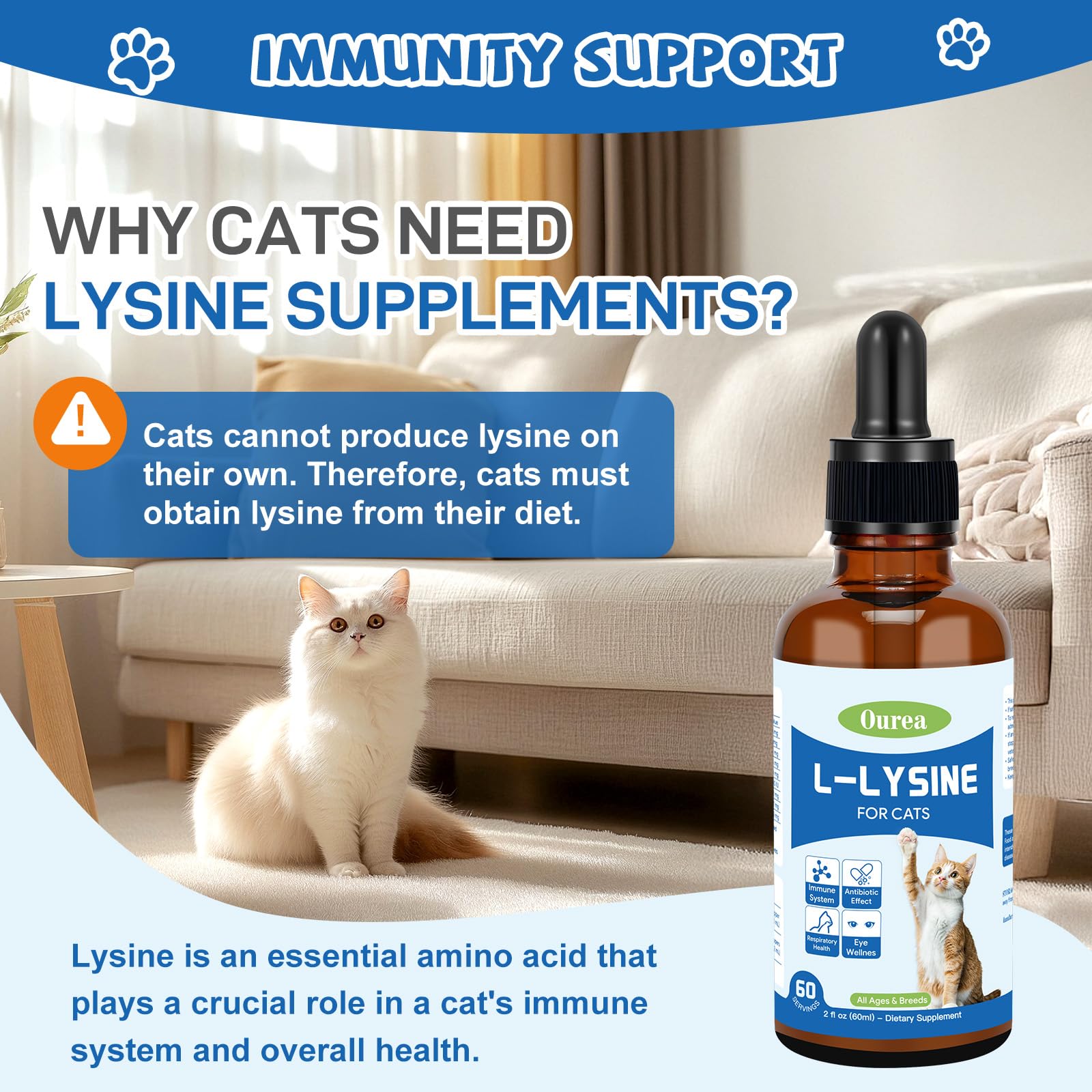 Ourea L-Lysine Drops for Cats 68g ingredients list