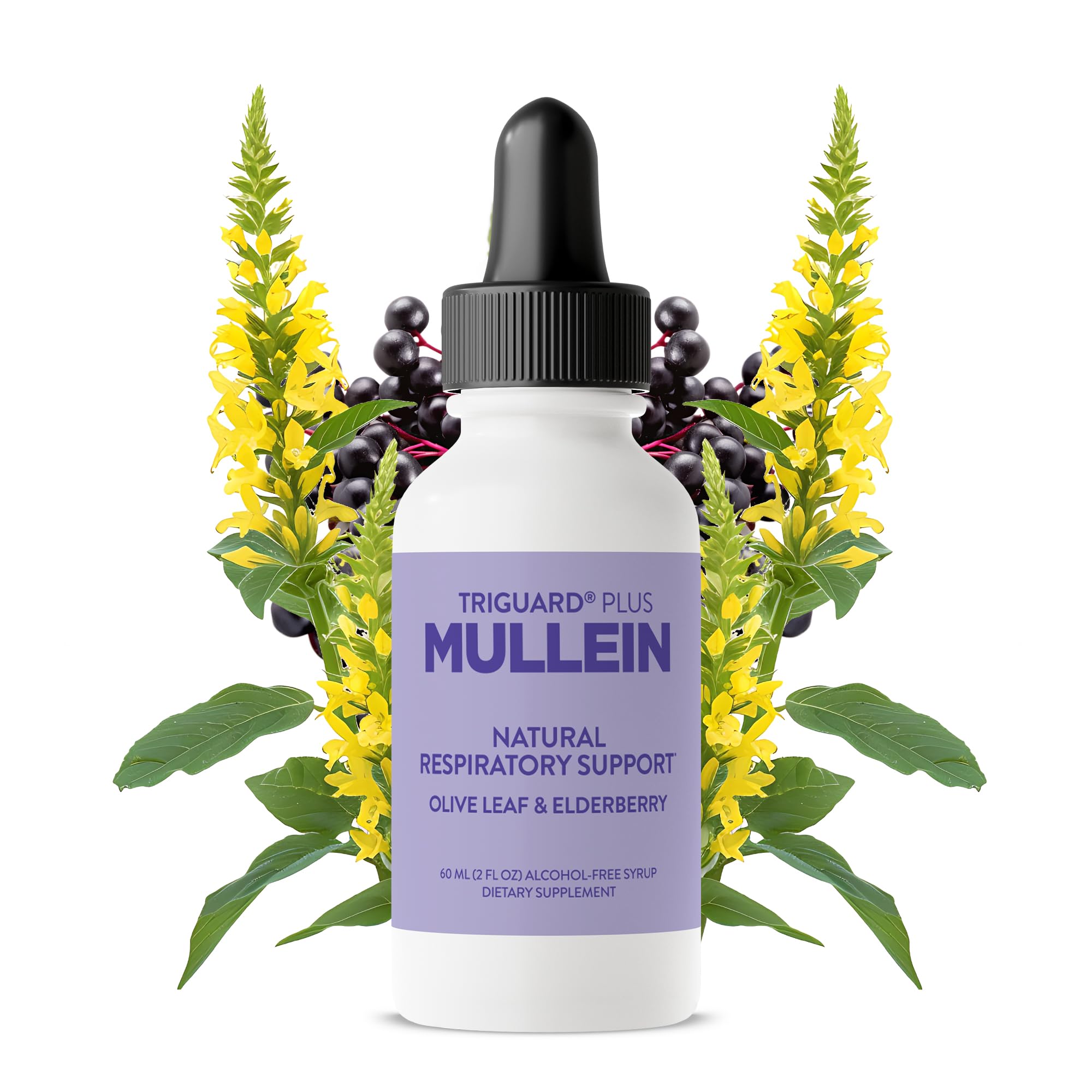 Oxygen Nutrition Mullein Plus bottle front view