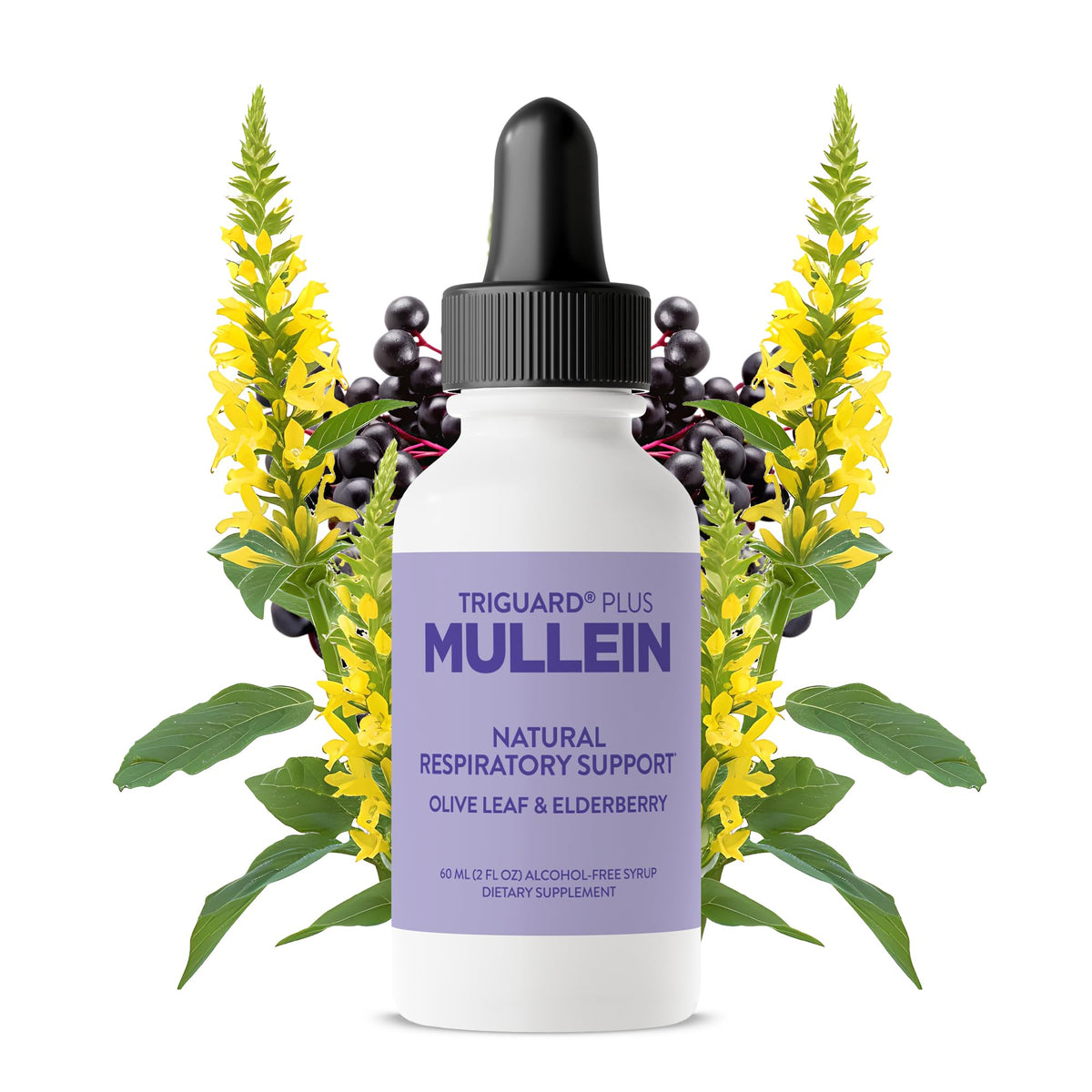 Oxygen Nutrition Mullein Plus bottle front view