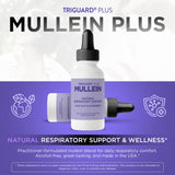 Oxygen Nutrition Mullein Plus liquid tincture with dropper
