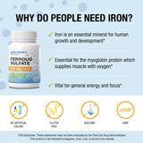 P Puregen Labs Ferrous Sulfate 325mg Iron Supplement tablets close-up