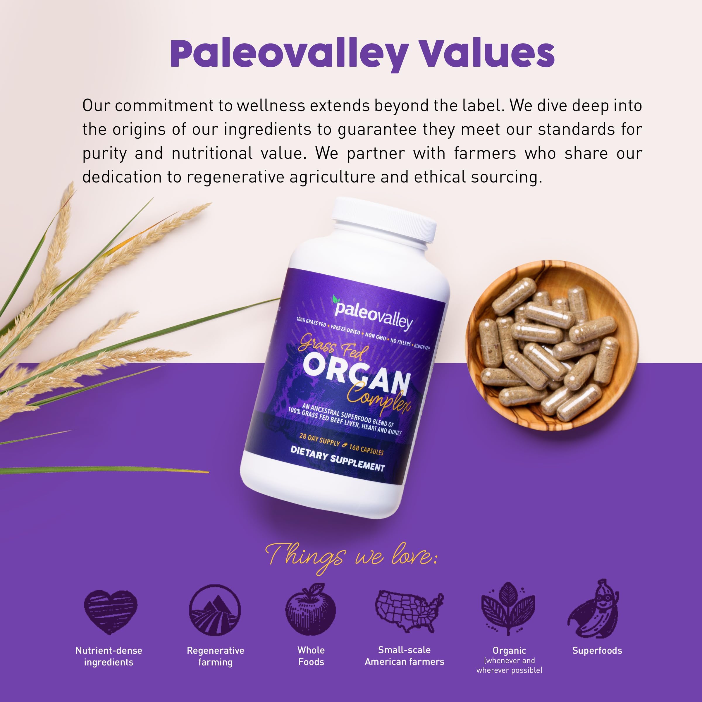 Paleovalley Grass-Fed Organ Complex bottle with measuring scoop