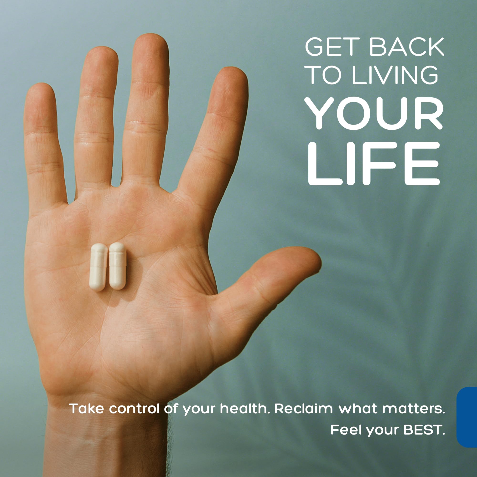Palmara Health L-Lysine with Monolaurin ingredients list