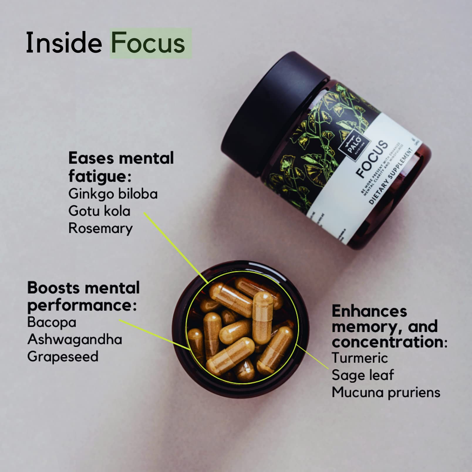 PALO FOCUS Ginkgo Biloba supplement capsules in a bowl