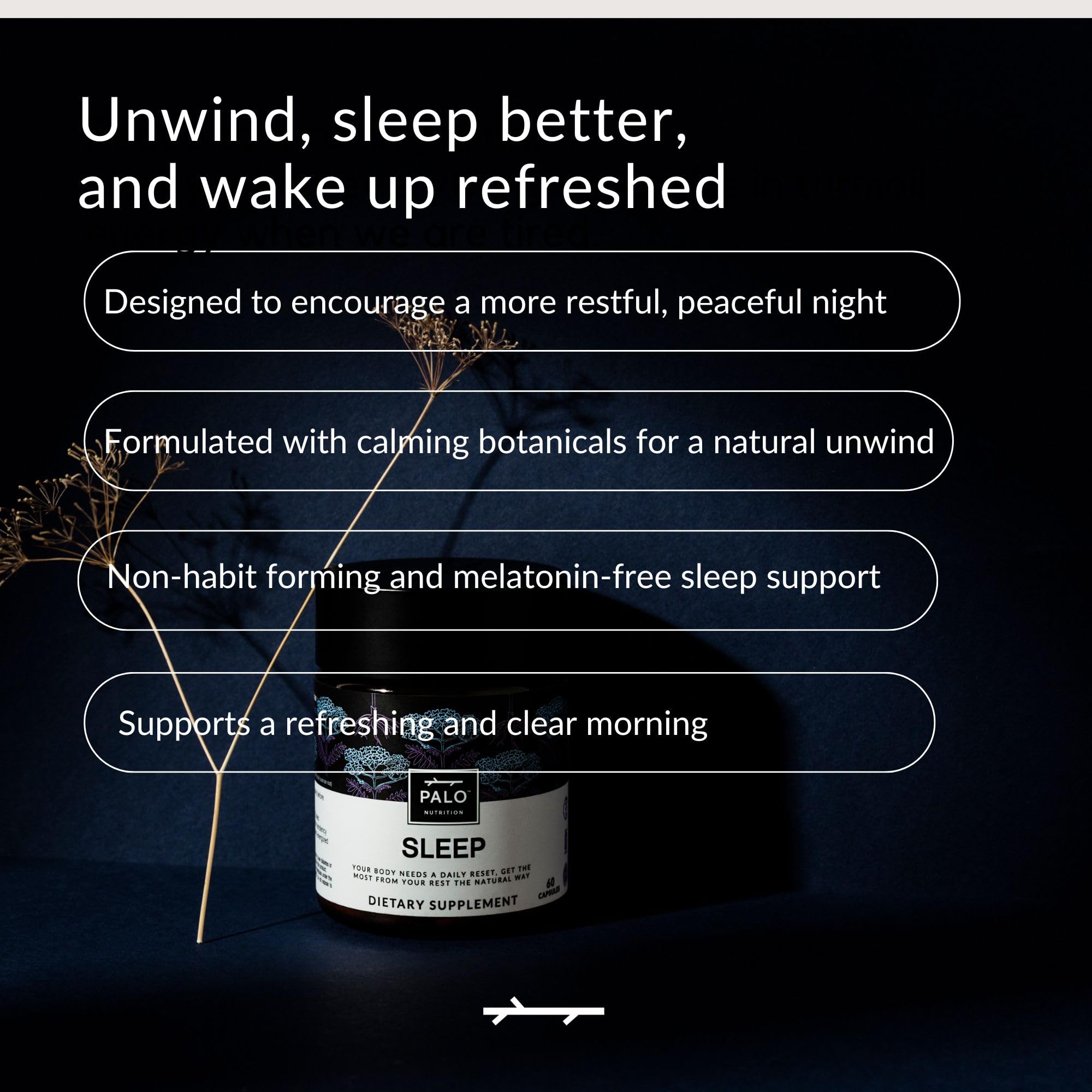 PALO Sleep Supplement bottle with a serene night scene