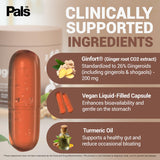 PALS Ginger Extract Capsules displayed on a wooden table