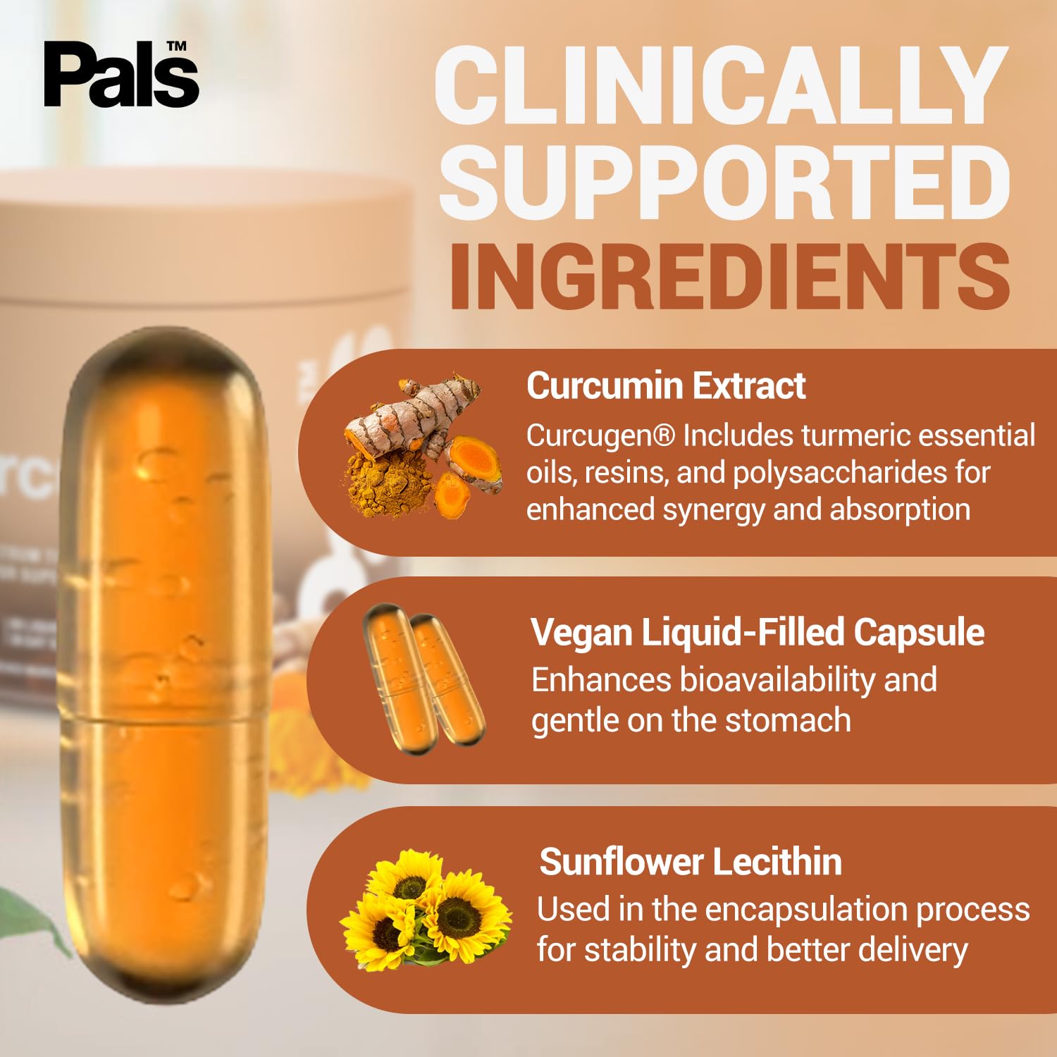 PALS Turmeric Curcumin Capsules 500mg in a lifestyle setting