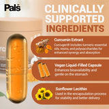 PALS Turmeric Curcumin Capsules 500mg in a lifestyle setting