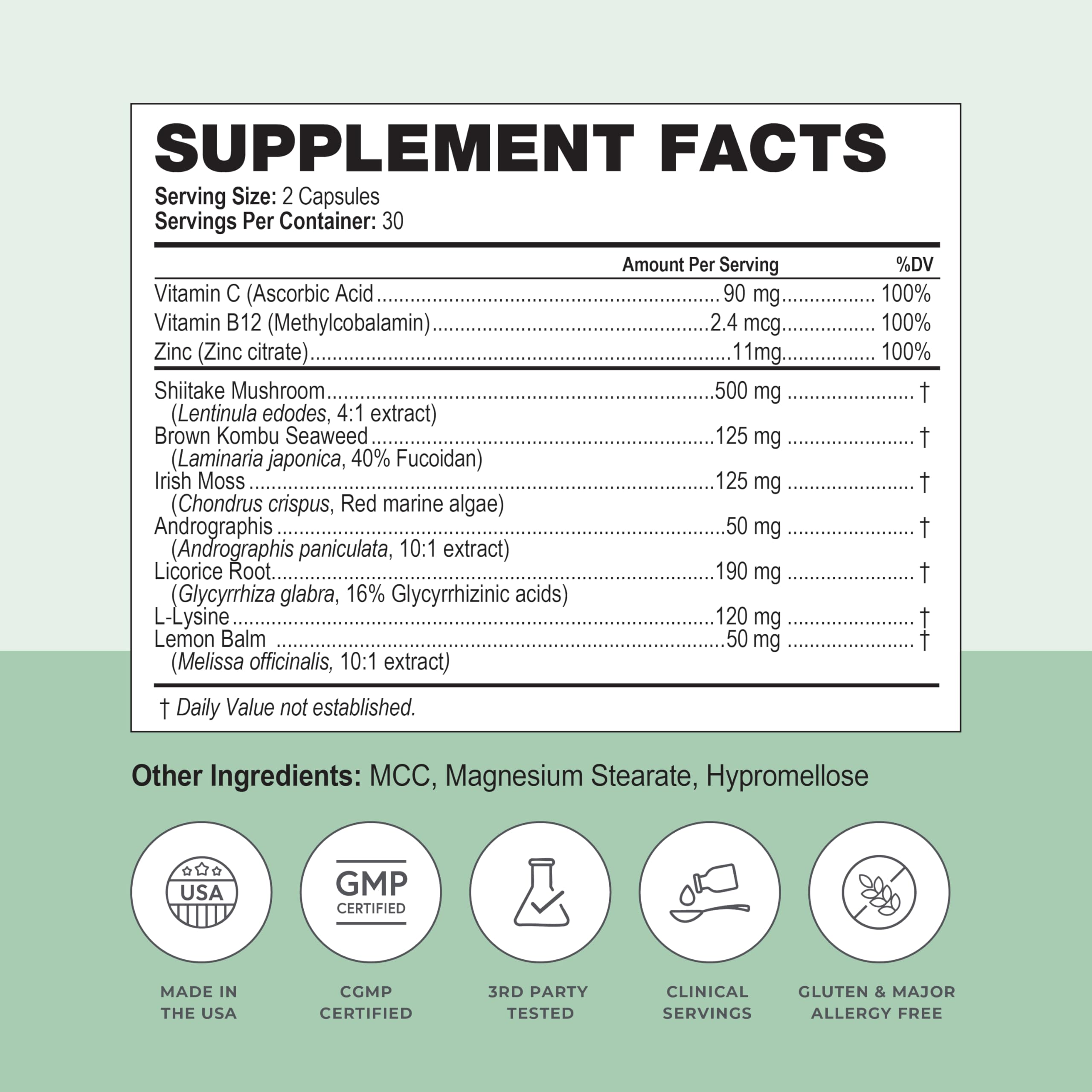 Papillex Nutritional Supplement Support 68g lifestyle scene