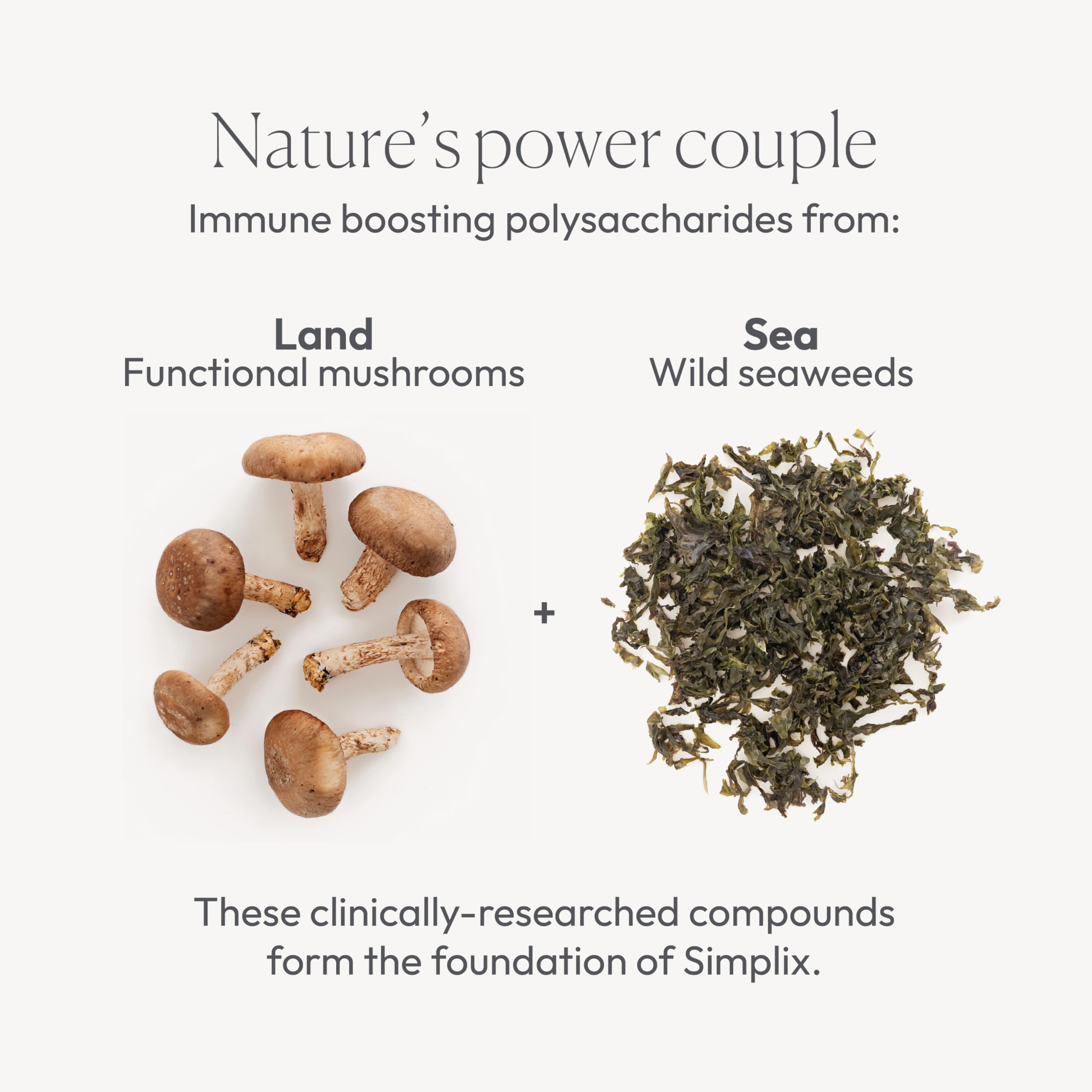 Papillex Nutritional Supplement Support 68g packaging