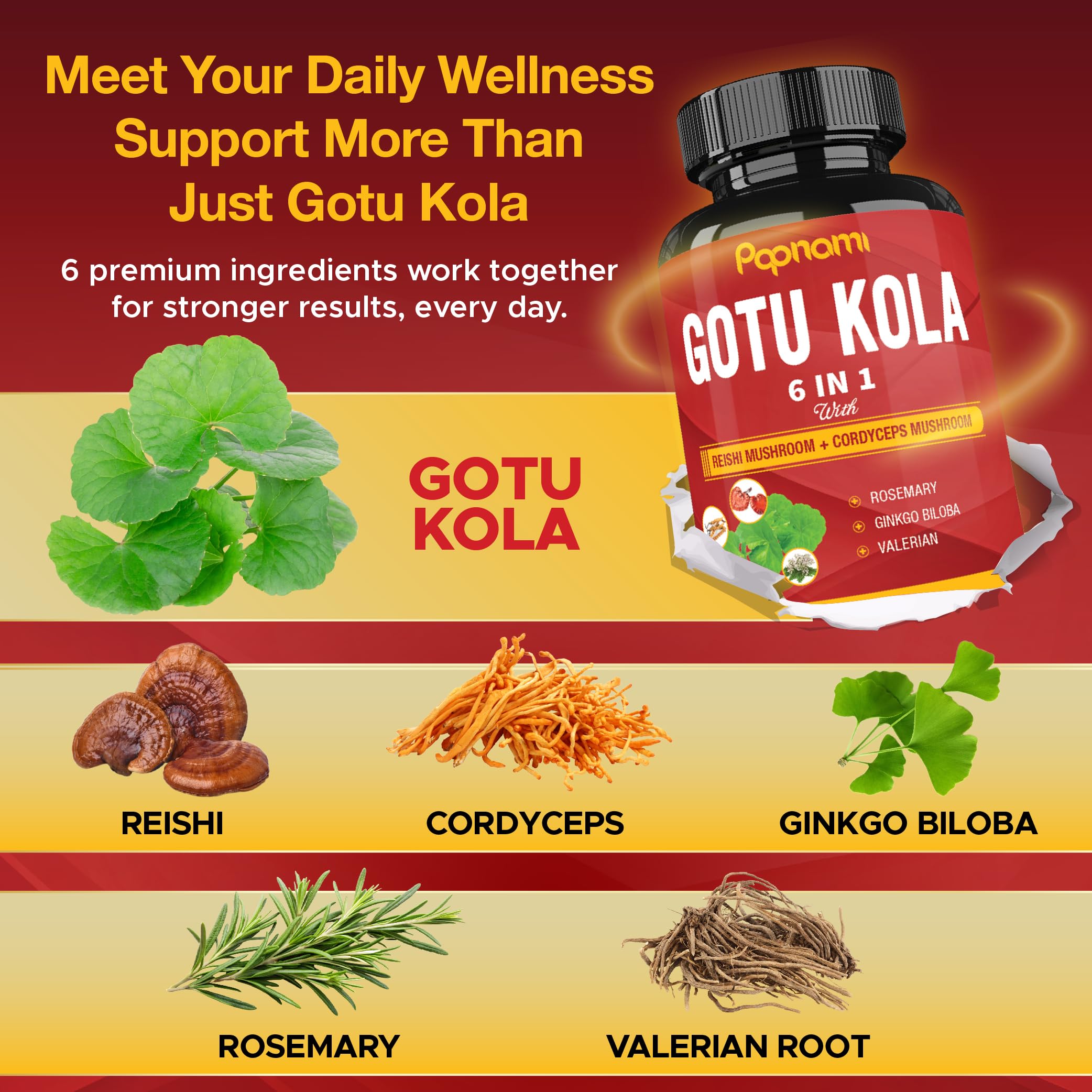 Papnami Gotu Kola Supplement capsules in a hand