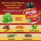 Papnami Gotu Kola Supplement capsules in a hand