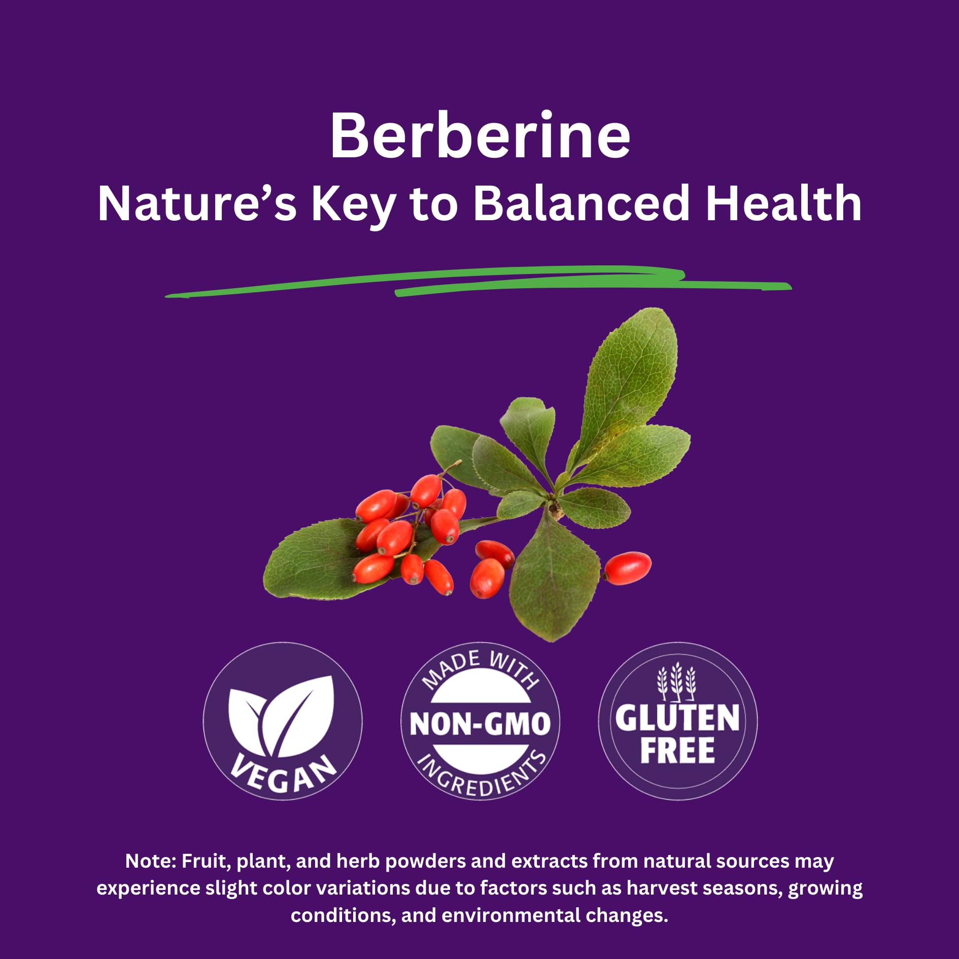 Paradise Herbs Berberine HCL Herbal Supplement 60 Capsules back view