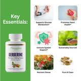 Paradise Herbs Berberine HCL Herbal Supplement 60 Capsules side view