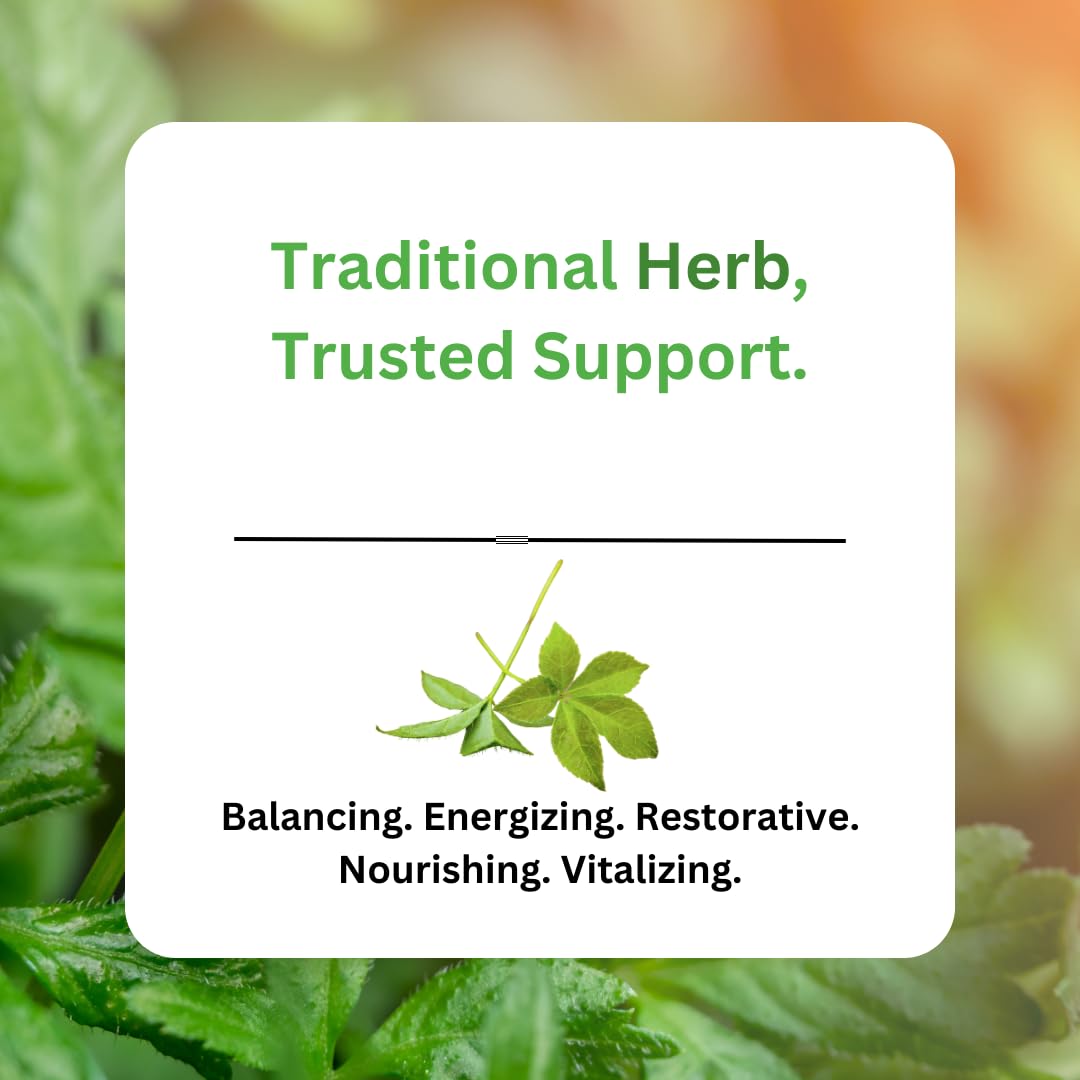 Paradise Herbs Jiaogulan Extract 12:1 on a wooden table