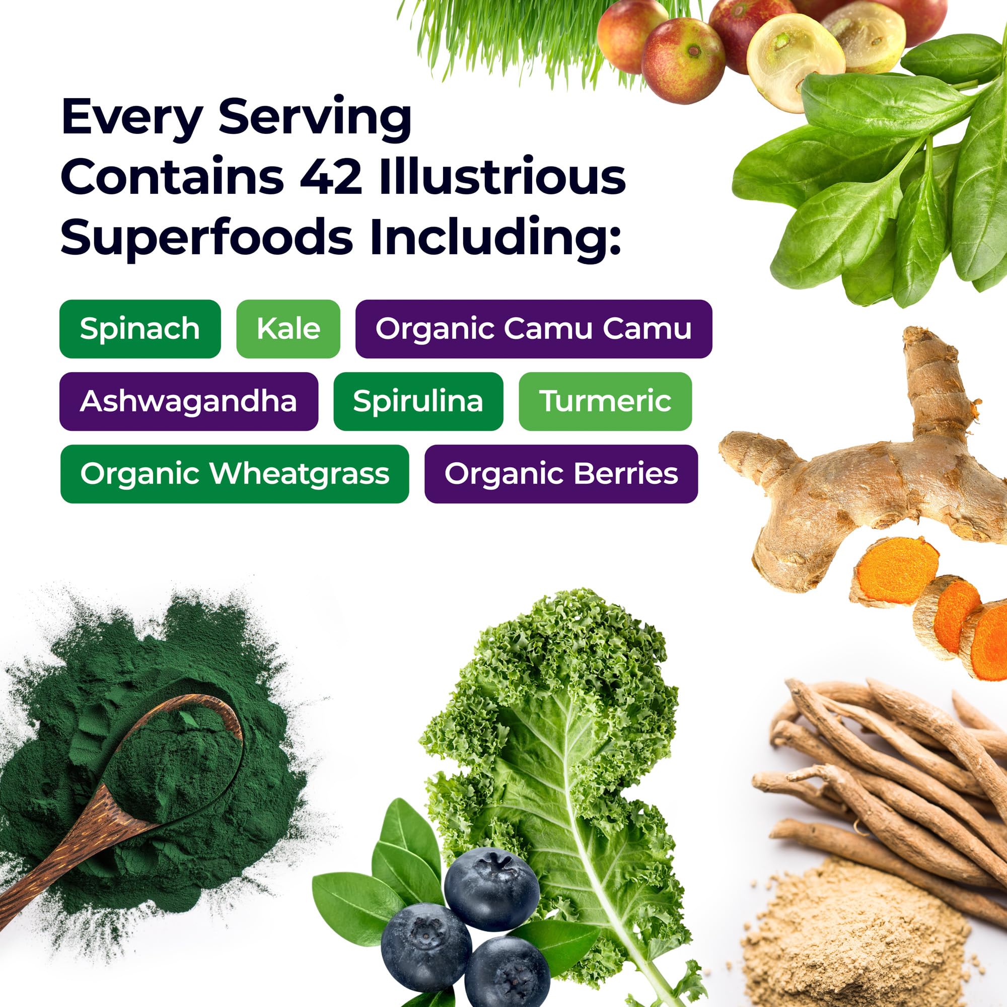 Paradise Herbs Superfoods Blend 431g scoop with powder
