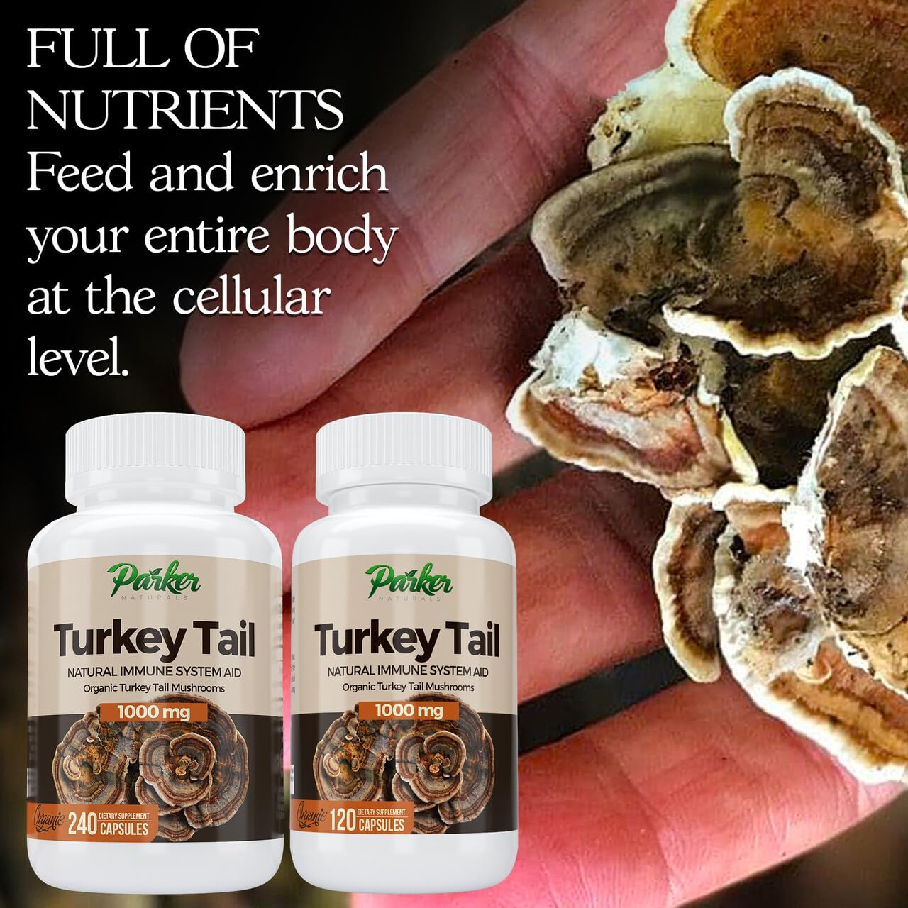 Parker Naturals Turkey Tail Mushroom Capsules 1000mg bottle with label