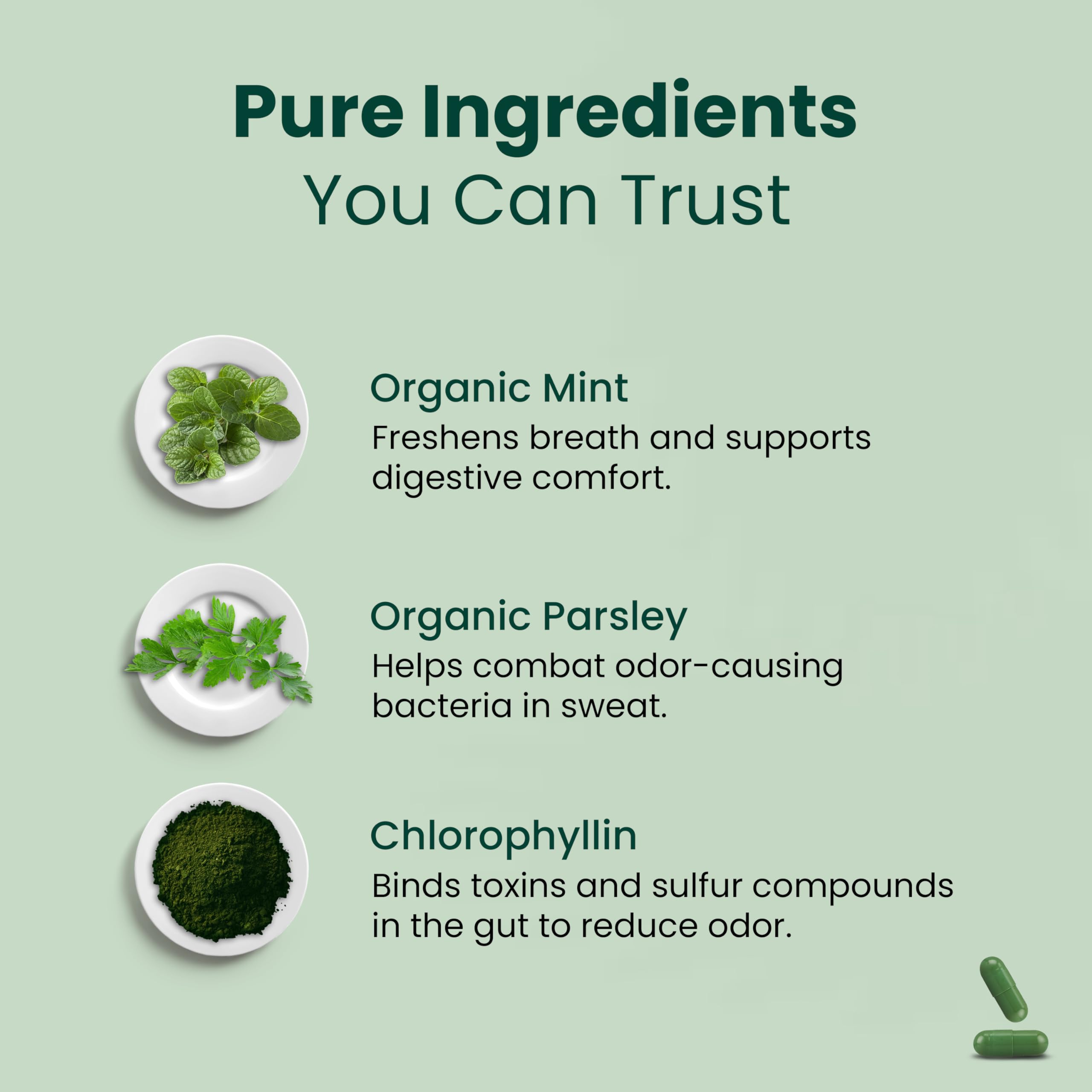 parmint. Chlorophyll Capsules with a measuring spoon