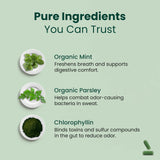 parmint. Chlorophyll Capsules with a measuring spoon