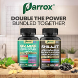 Parrox Dynamic Vitality Bundle lifestyle scene