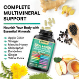 Parrox Sea Moss Capsules in a lifestyle setting with greenery