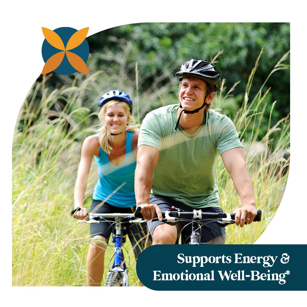 Pattern Wellness B-Complex Vitamin Capsules ingredients list