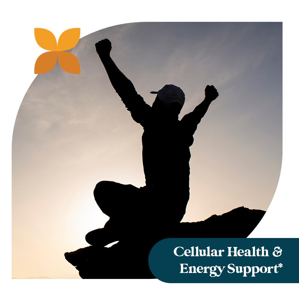 Pattern Wellness Glutathione & Vitamin C Capsules with ingredients