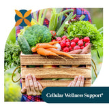 Pattern Wellness Organic Garlic Capsules with measuring spoon