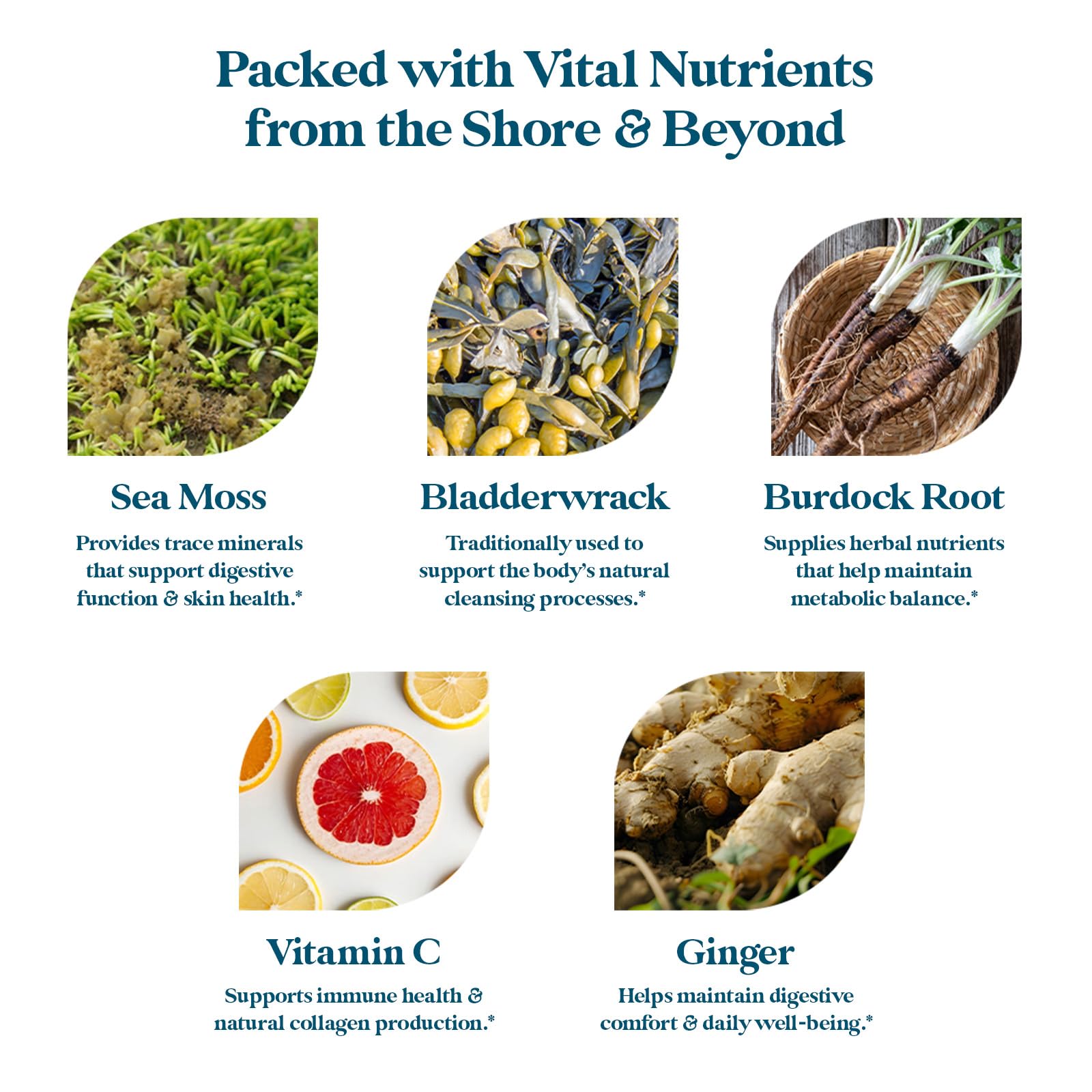 Pattern Wellness Sea Moss Complex ingredients list on packaging