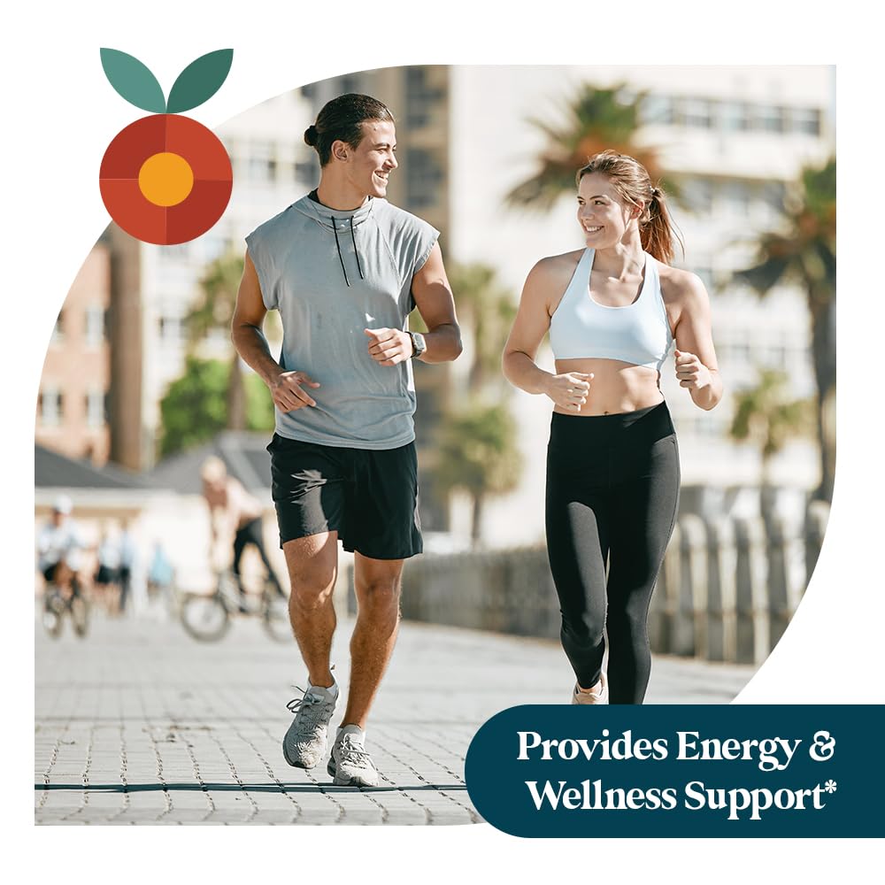 Pattern Wellness Vitamin B12 Sublingual Drops ingredients list